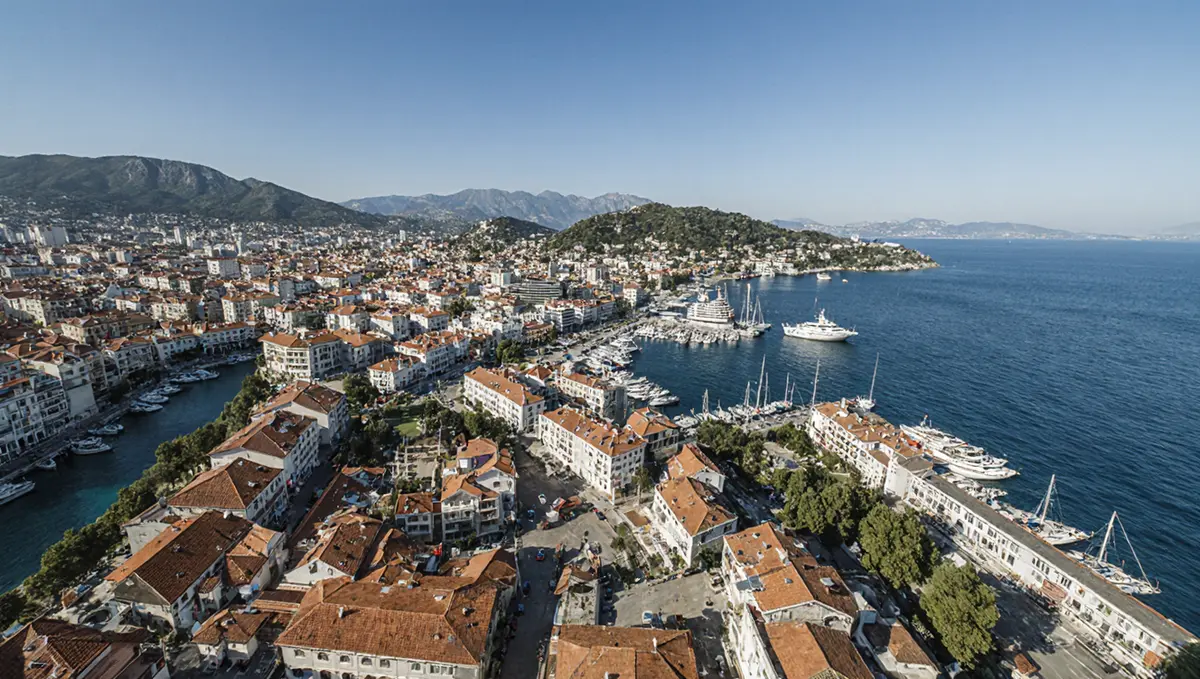 İzmir'de Yangından Kurtarılan Canlara Şefkat Eli