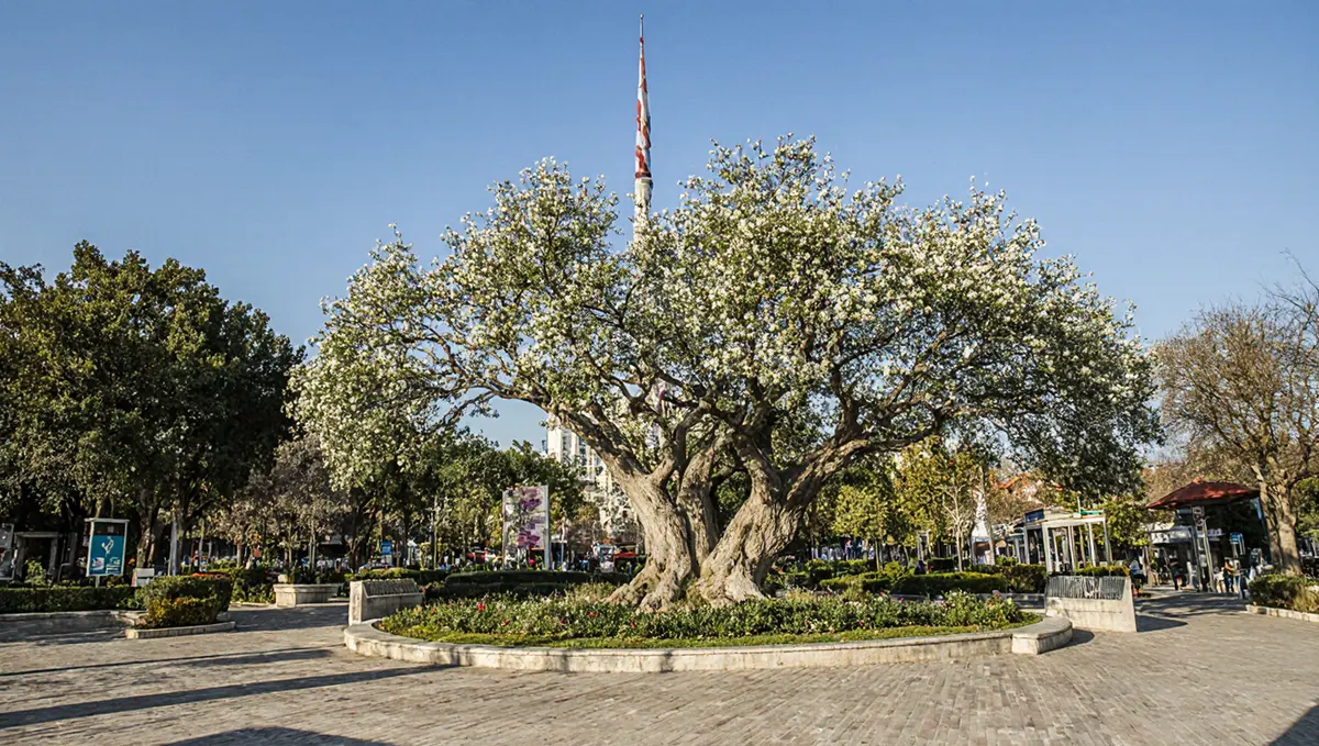 İzmir Doğal Yaşam Parkı'nda Tatbikat