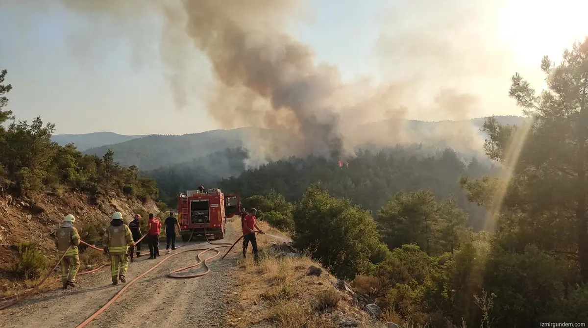 Aliağa’da Orman Yangını: Ekipler Alevleri 15...
