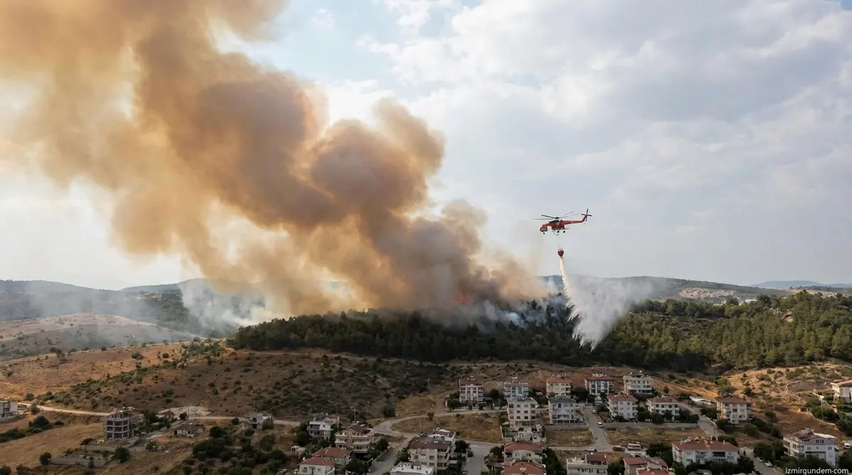 Bornova'da Orman Yangını: Havadan Müdahale Sürüyor