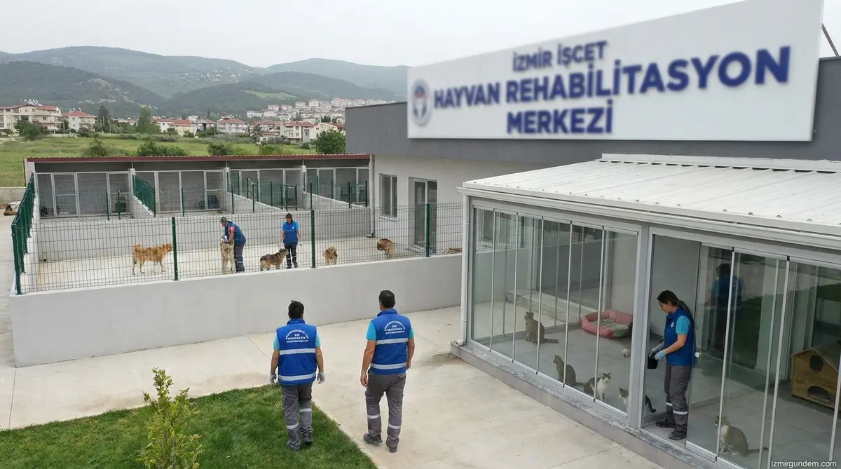 Buca'da 153 Can Dost Yeni Yuvasına Kavuştu: Ücretsiz Sahiplendirme