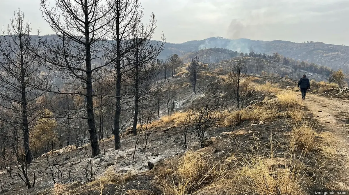 Buca'da Orman Yangınına Sebep Olan Zanlı Tutuklandı