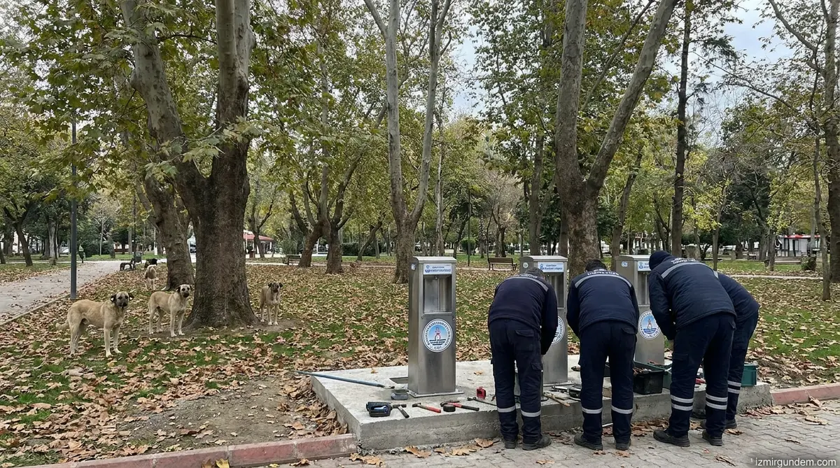 Buca’da Sokak Hayvanları İçin Otomatik Su Sistemi Devrede