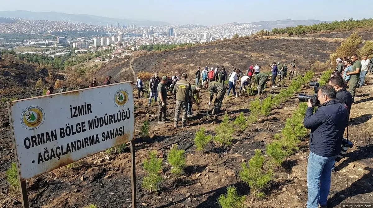 İzmir'de Yanan Ormanlar Yeşilleniyor