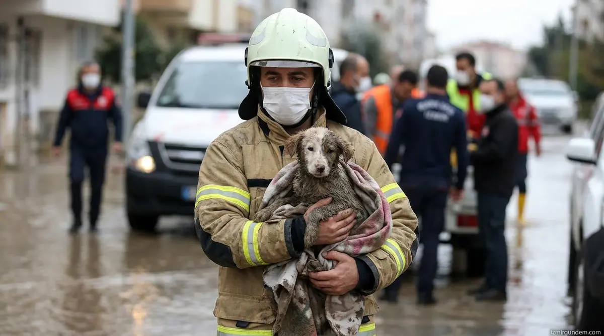 İzmir'de Şefkat Eli: Hayvanlar Kurtarıldı