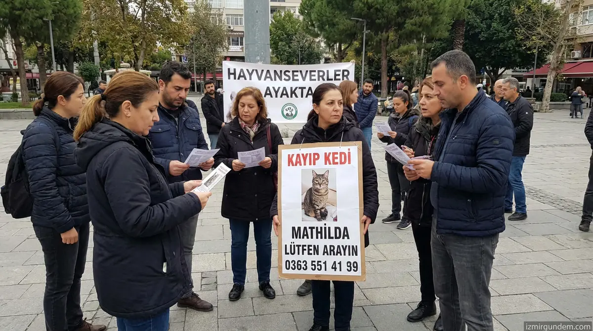 Mathilda Kedi Kayıp: Hayvanseverler Ayakta