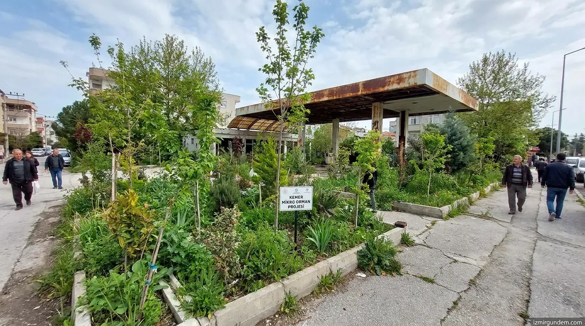 İzmir Kemer'de Eski Benzinlik Mikro Orman Oldu