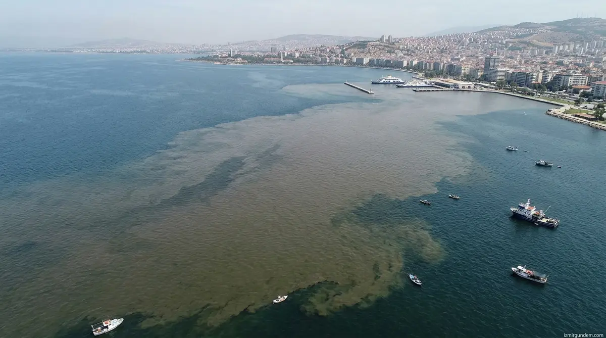 İzmir Körfezi'nde 4 Milyon Metrekarelik İstila: Kirliliğin Kaynağı Gediz