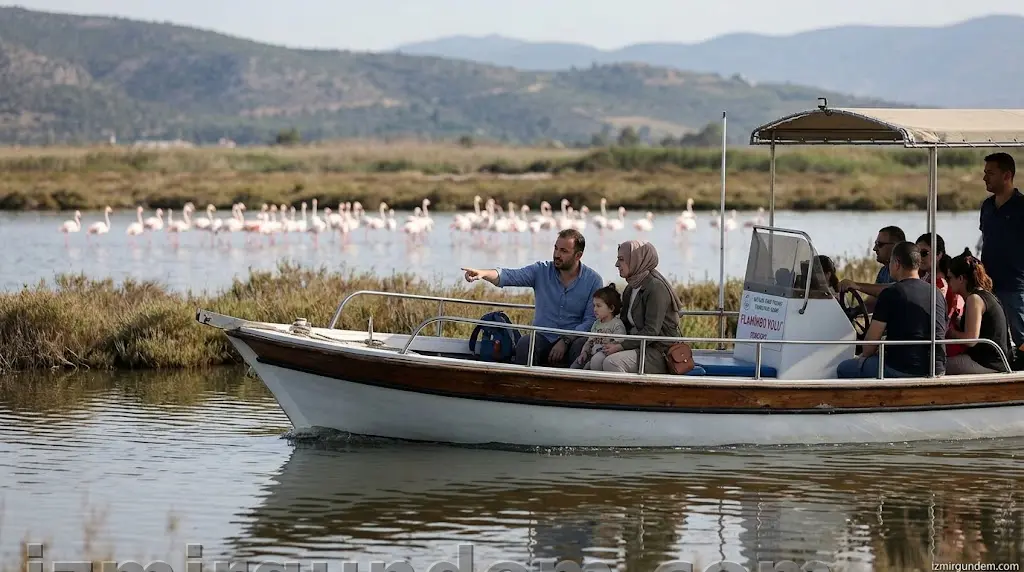 İzmir'de Bayramda Flamingo Yolu Turları Başlıyor