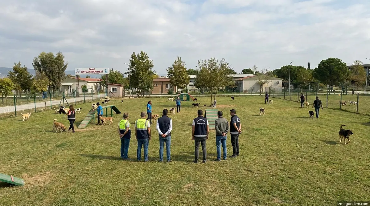 İzmir'de Can Dostlar İçin Dev Hamle: 30 Bin Metrekarelik Yeni Yaşam