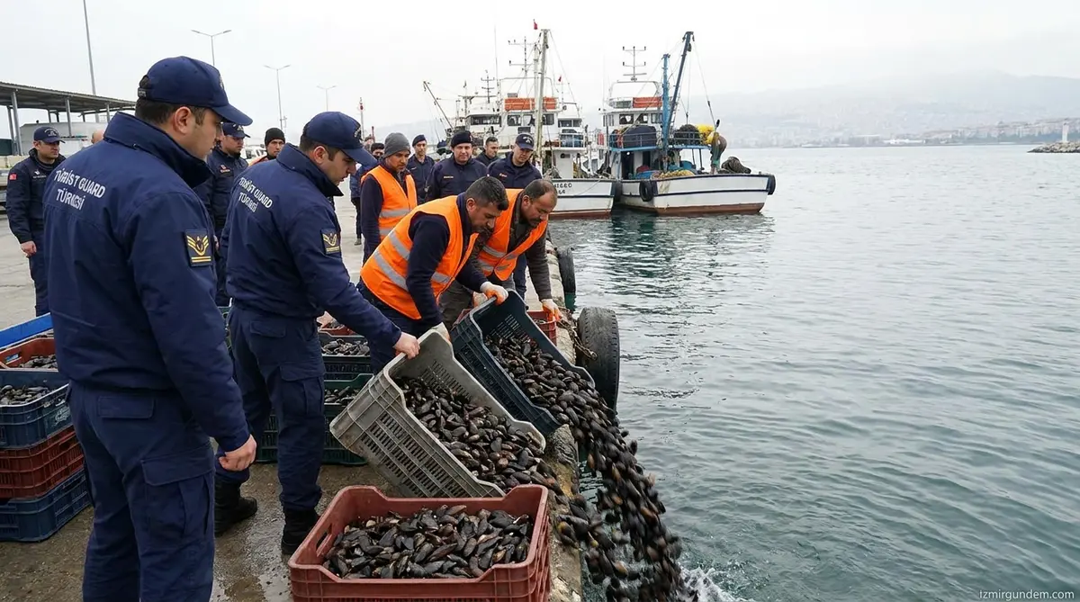 İzmir'de Kaçak Midye Operasyonu: 560 Kilo Denize İade Edildi