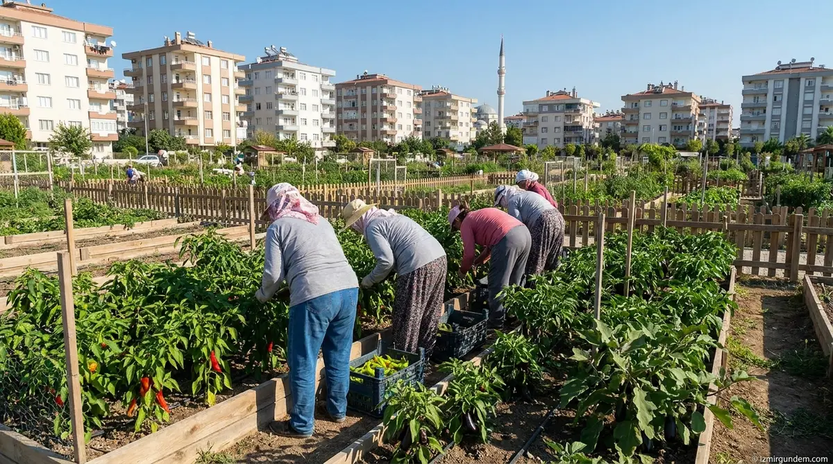 İzmir'de Mahalle Bostanları Bereketlendi: 200 Kadın Yaz Hasadında
