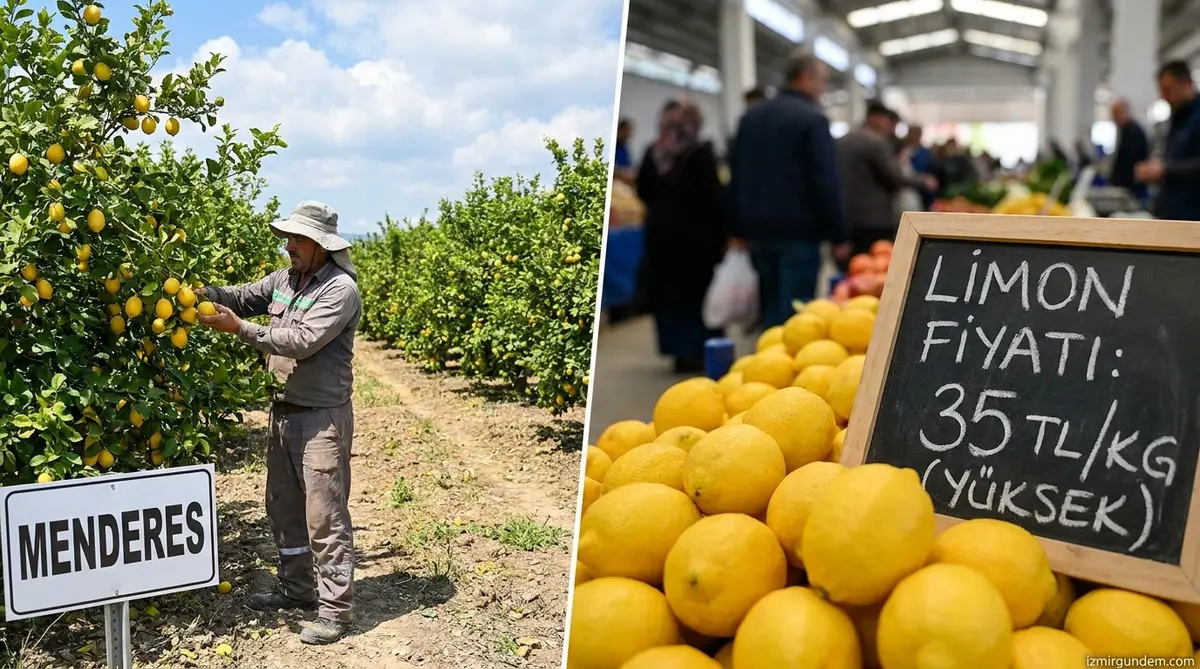 Menderes'te Hasat Mesaisi ve Marketlerdeki Limon Fiyat Krizi