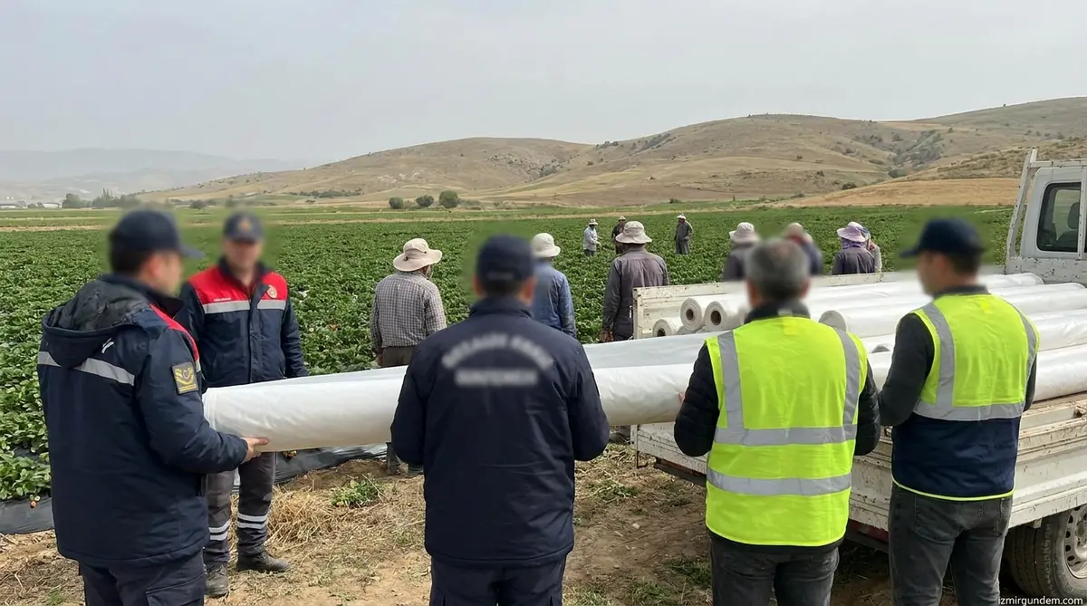 Menemen ve Ödemişli Üreticiye Don Zırhı: 2,5 Milyon Metrekare