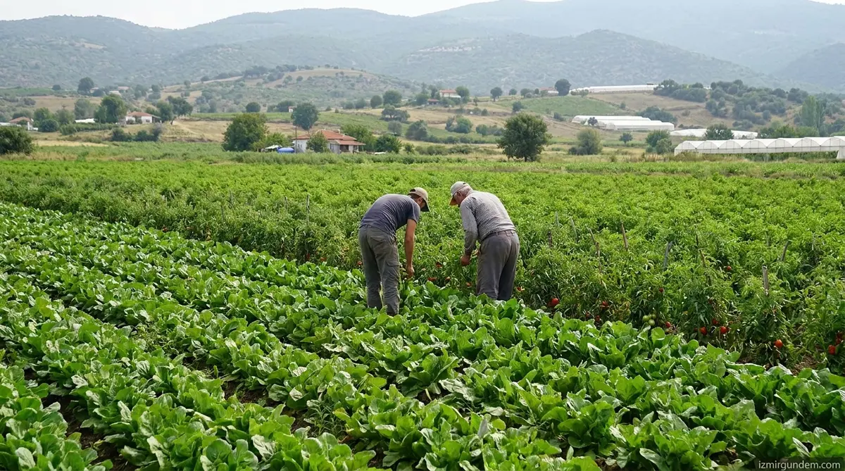 Menemenli Genç Girişimci Kurumsal Kariyeri Bıraktı Ata Toprağına Döndü
