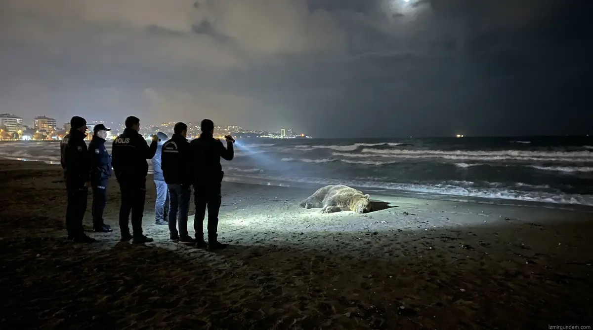 Seferihisar Doğanbey'de 71 Yaşındaki Adamı Öldüren...